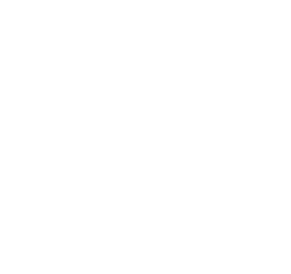 LifePlan logo